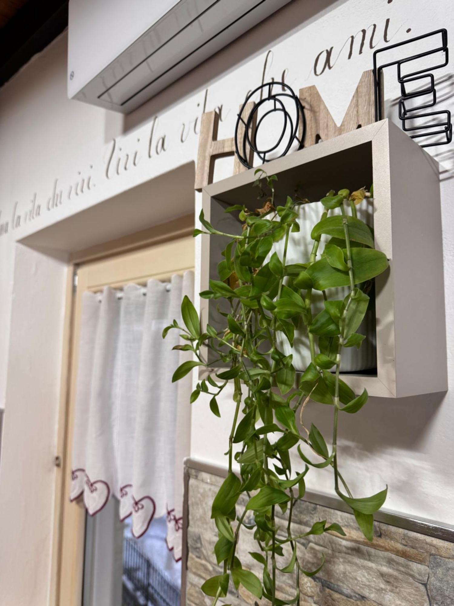 Residenze Vezza - Home Sweet Home- Vezza dʼOglio المظهر الخارجي الصورة
